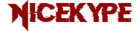 NiceKype Logo